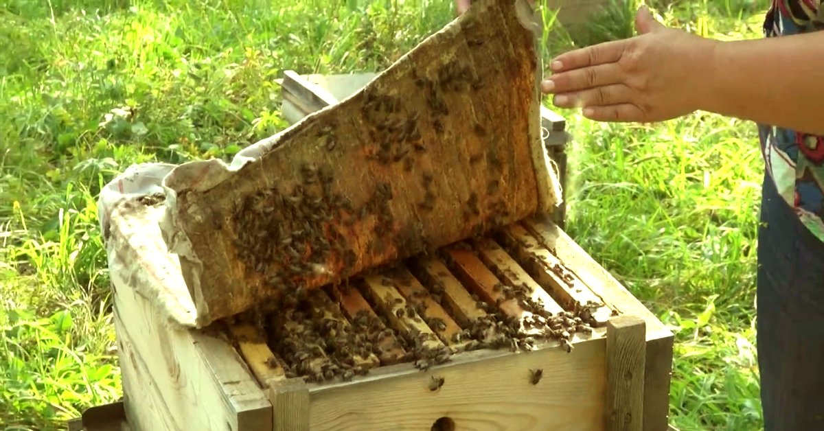 Как лечить грыжу позвоночника