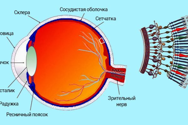 Как видеть без очков: неважно, насколько слабо твое зрение!