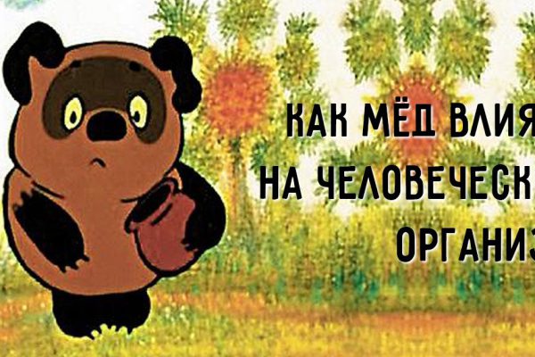 9 уникальных свойств мёда, о которых знают единицы. Невероятный продукт!