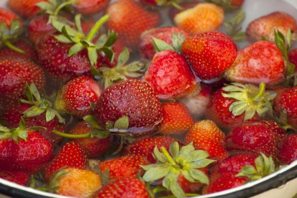 A lot of strawberries which are floating in the water