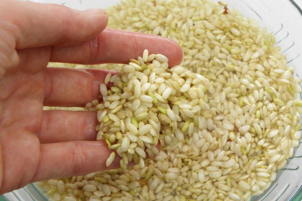 Какие крупы нужно мыть перед варкой, а какие можно сразу смело отправлять в кастрюлю