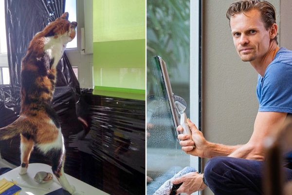 Техника мойки окон без разводов, мойщица окон научила, как за 5 минут вымыть любое окно