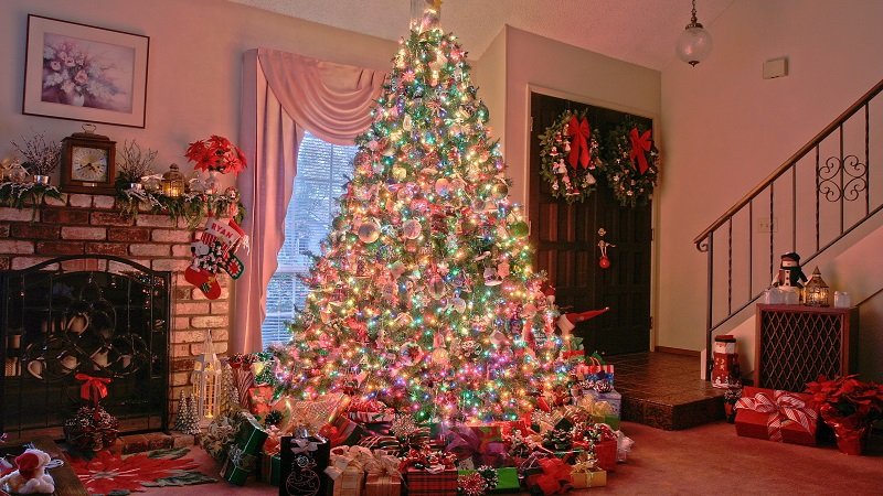 Это нужно учесть, чтобы нарядить елку... Пусть новогоднее дерево принесет удачу!