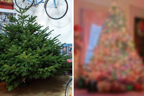 Это нужно учесть, чтобы нарядить елку к 2017 году правильно! Пусть новогоднее дерево принесет удачу!