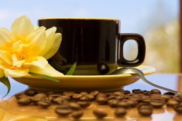 Как научиться рано просыпаться