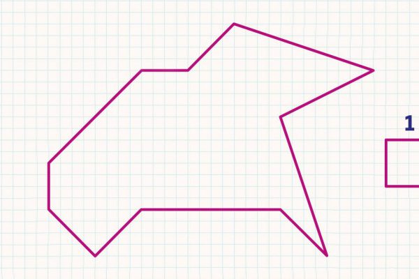 Научил сына находить площадь многоугольника за минуту без черновика