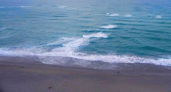 правила безопасности в воде