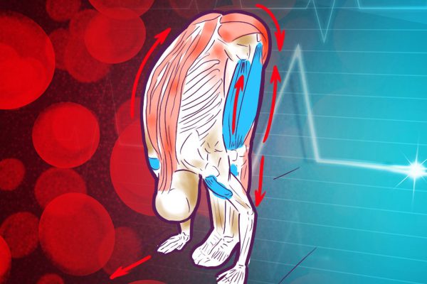 Упражнение для нормализации давления