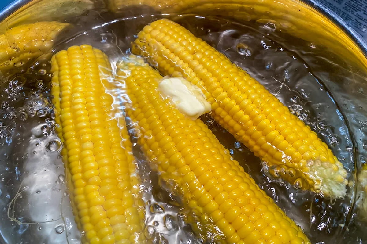 Кукуруза вареная в початках. Кукуруза в початках вареная. Кукуруза брателло ф1. Кукуруза Камберленд. Кукурузный початок.
