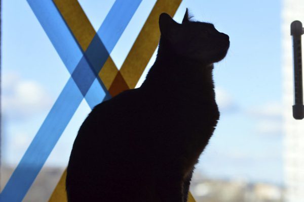 Правило двух стен и другие рекомендации, которые помогут обезопасить дом, советы, которые спасают жизни