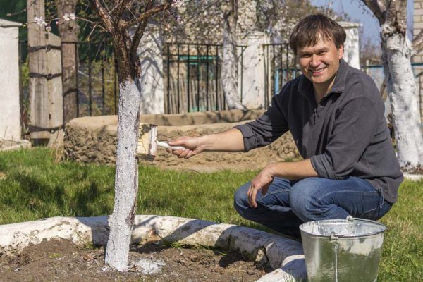 Уже привел свой участок на даче в порядок, иду хлопотать возле дома соседки