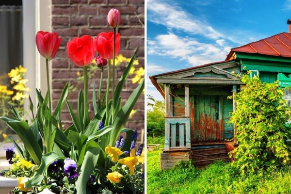 Удачные решения для обустройства дачного участка