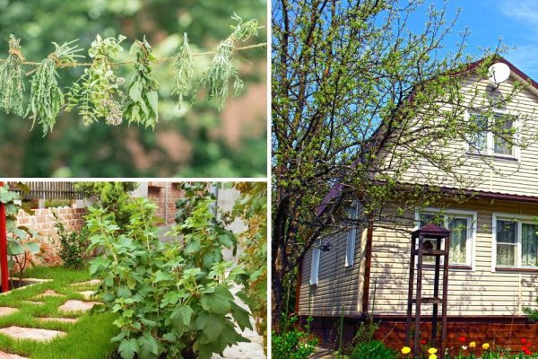 Подборка хитрых идей для обустройства дачи