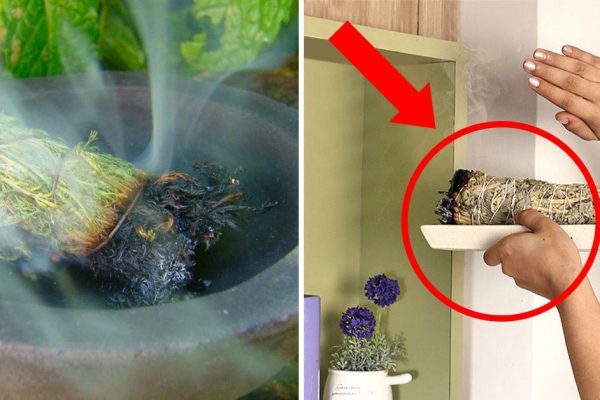 Так можно вывести всю нечисть из своего дома! Способ, который изменил мою жизнь…