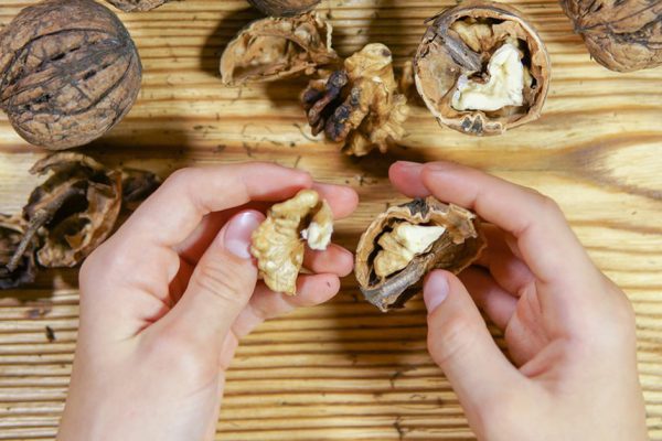 Как очищать грецкие орехи от скорлупы
