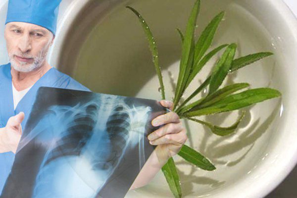 «Рецепт для очищения из старой знахарской книги, но каков эффект! Мощнейшая трава при воспалительных заболеваниях…»