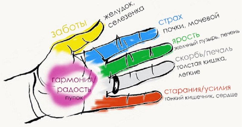 Точки на ладони отвечающие за внутренние органы фото с надписями