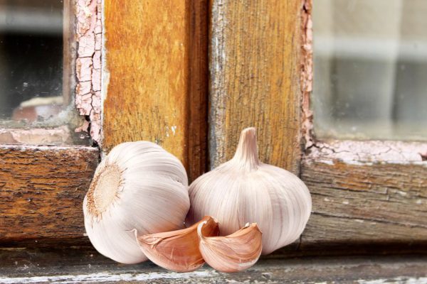 Зачем регулярно натирать окна чесноком