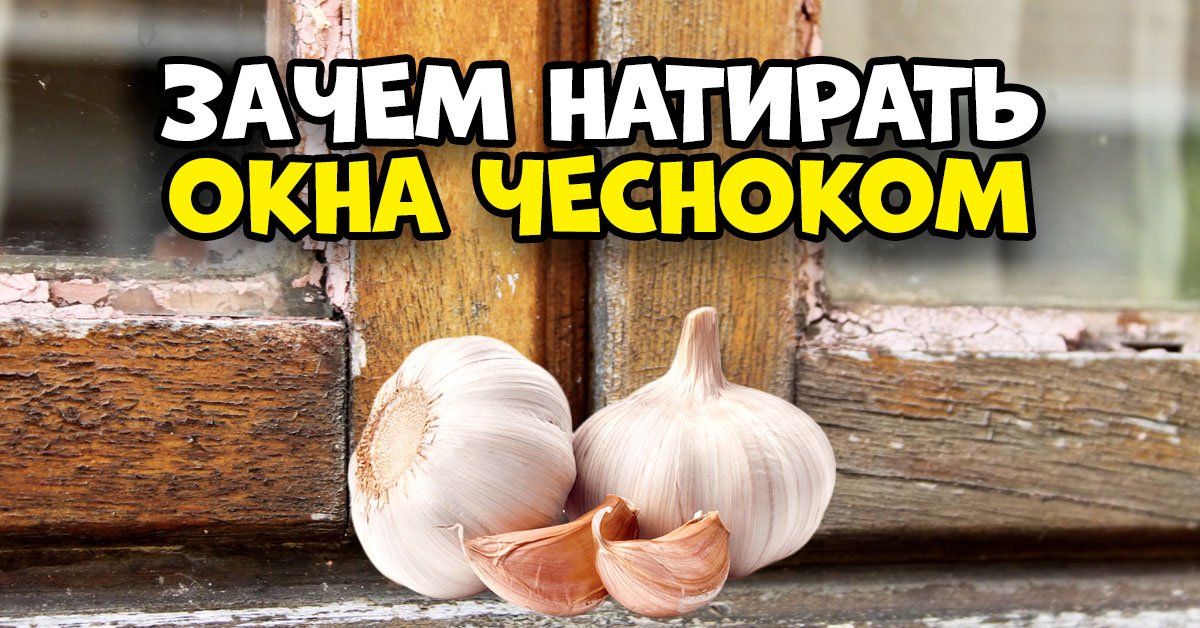 Как остановить трещину на стекле с помощью чеснока