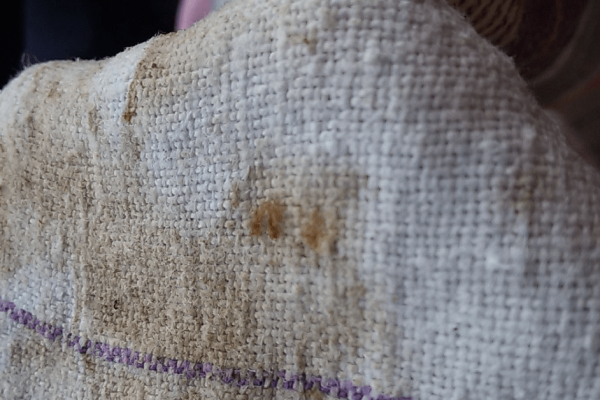 Мастерство отбеливания кухонных полотенец