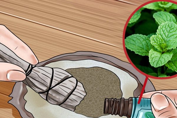 Мята против сахарной зависимости: то, что помогло мне разлюбить вредные сладости.