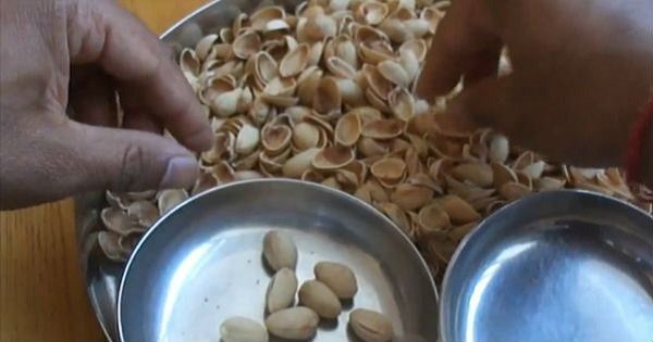 Как правильно открывать фисташки? Этот гениальный способ ты точно не знал!