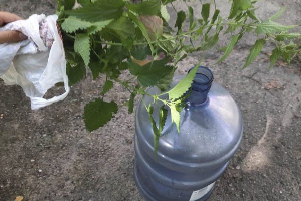 Любимая теща показала, как без лишней возни отмыть 20-литровку от налета и зелени