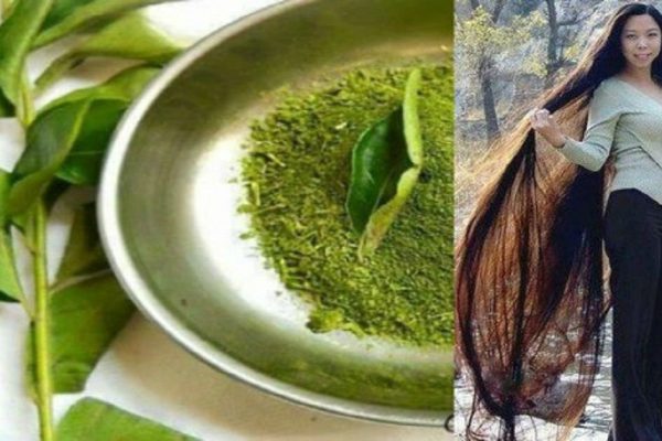 Длинные и крепкие волосы уже через месяц! Понадобится всего 1 чудодейственный компонент.