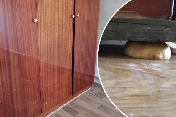 Как передвинуть тяжелую мебель без вызова грузчиков