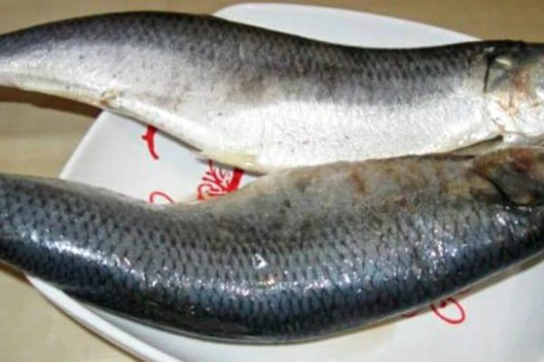 Как одним движением очистить селедку от костей. Не подозревал, что это настолько легко!