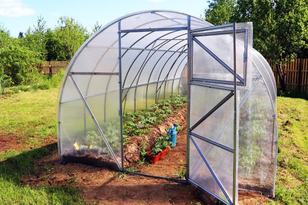 Что обязательно нужно сделать в новой теплице перед высадкой культур
