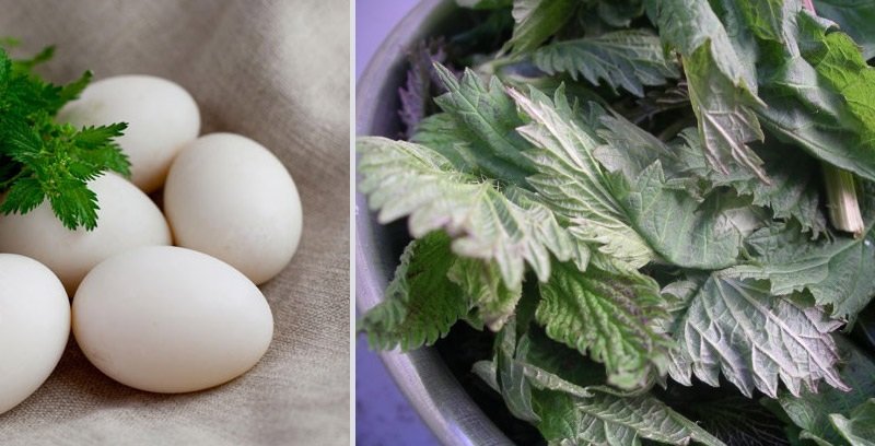 Как покрасить яйца на Пасху своими руками советы, декор, идеи, краска, пасха, праздники, хендмейд, яйца