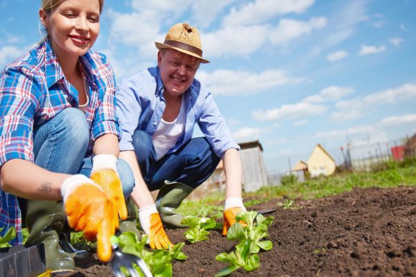 Image of two happy farmers seedling sprouts in the garden