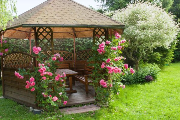 Outdoor wooden gazebo with roses and summer landscape background