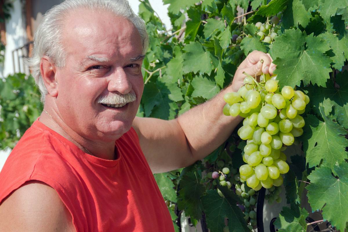 Дачник из Германии выкорчевал растения, что портили урожай винограда