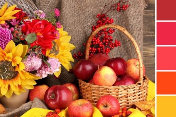 Сочетания цветов для осеннего гардероба