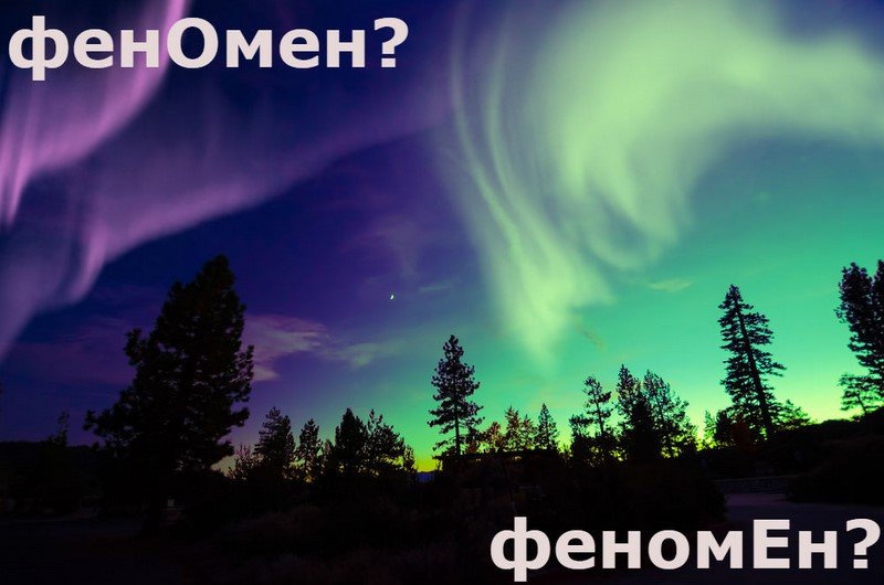 грамотная речь