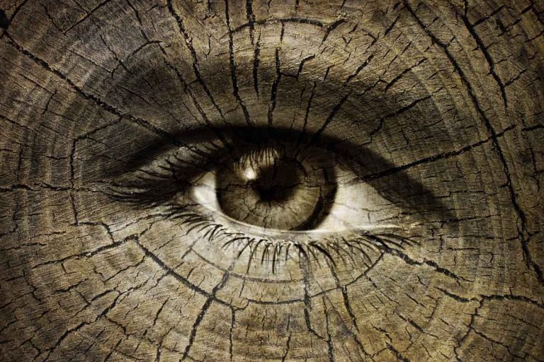 Как предсказывать будущее