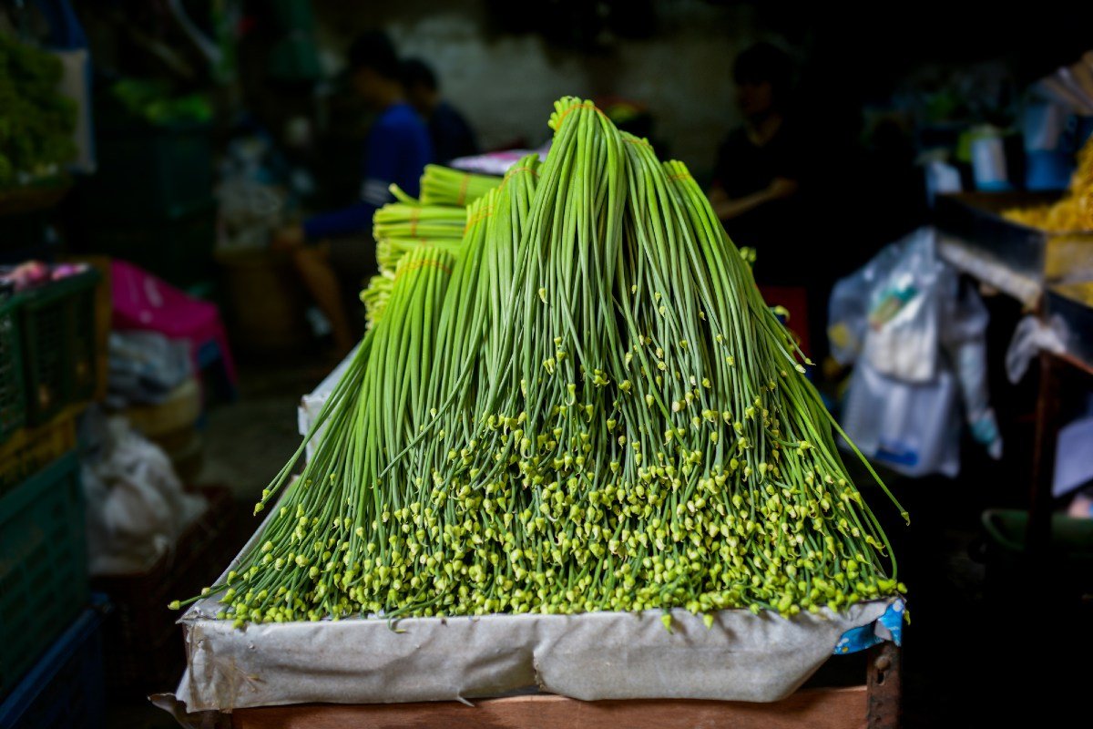 чесночные стрелки польза