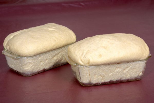Bread risen and ready to bake