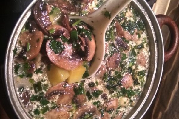 Польский грибной суп на молоке