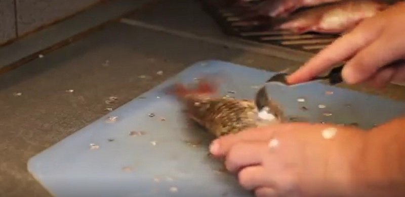 как приготовить карасей