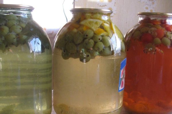 Компот из крыжовника «Мохито» в утешение скучающему дачнику