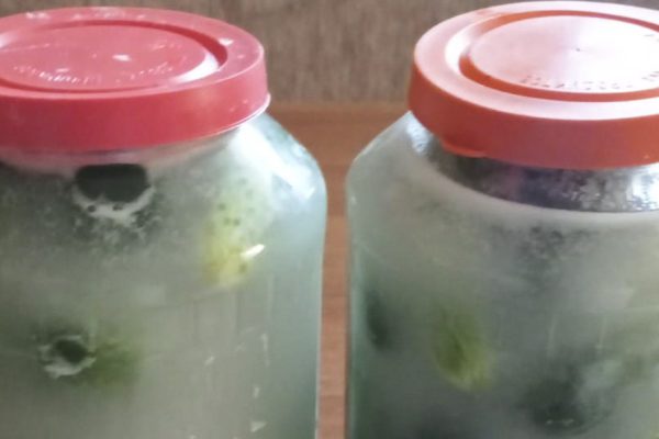 Зачем гуцулки засыпают муку в банки с солеными огурцами