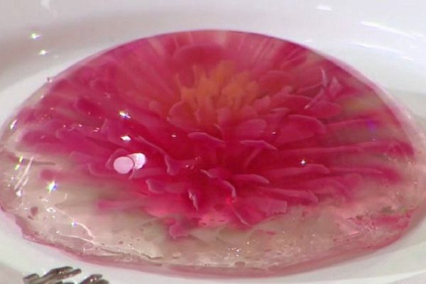 Готовлю осенние цветы в желе каждый год начиная с 2008: «Осенняя мелодия», так десерт называет мама