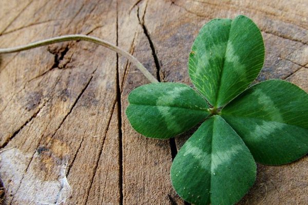 Кого можно называть любимчиками судьбы