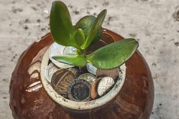 Что поможет привлечь деньги в дом и больше не испытывать нужды