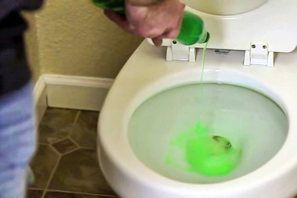 Он залил в унитаз немного жидкого мыла… Сначала я не догадался, зачем ему это понадобилось!