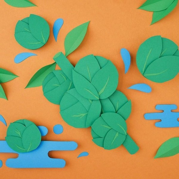 брюссельская капуста