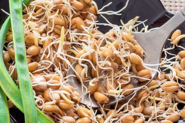 Зачем проращивать семена на марле и что из них готовить